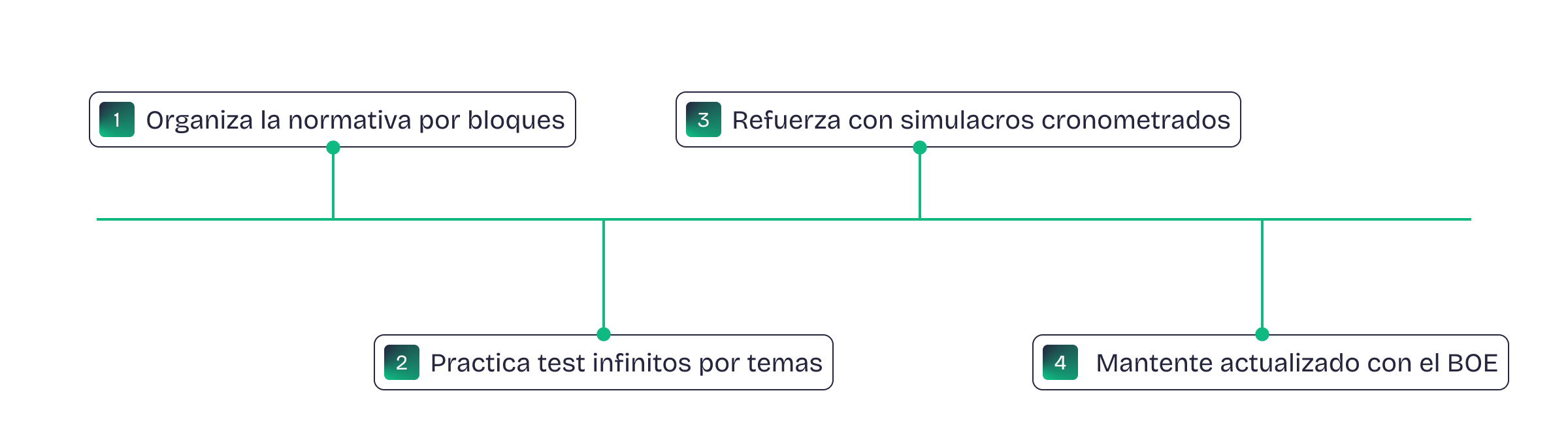 organización por pasos
